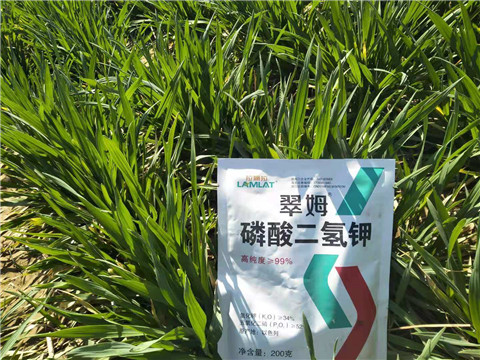 磷酸二氫鉀，葉面肥，拉姆拉