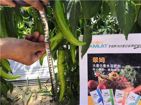 微生物菌劑，復(fù)合肥料，拉姆拉