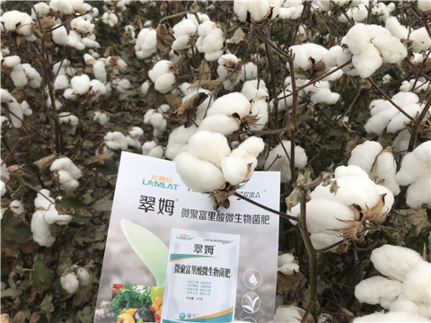 微生物菌劑，根碧多，拉姆拉