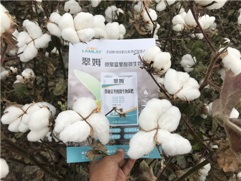 微生物菌劑，根碧多，拉姆拉