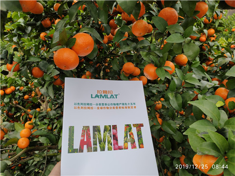 硼肥，拉姆拉