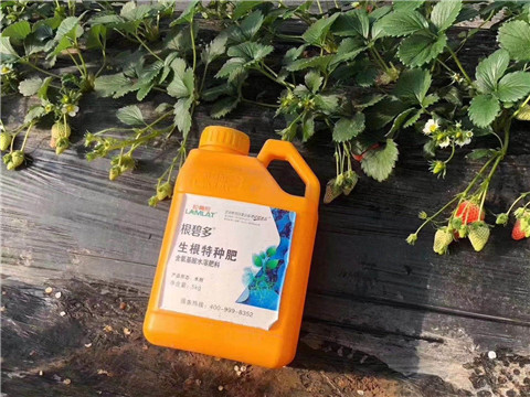 根碧多，微生物菌劑，拉姆拉