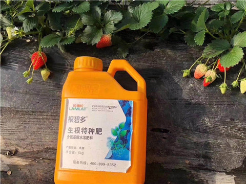 根碧多，微生物菌劑，拉姆拉