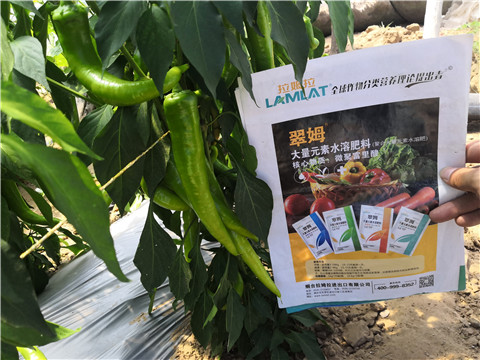 水溶肥，拉姆拉