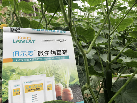 微生物菌劑，生根劑，拉姆拉
