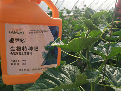 根碧多，磷酸二氫鉀，拉姆拉