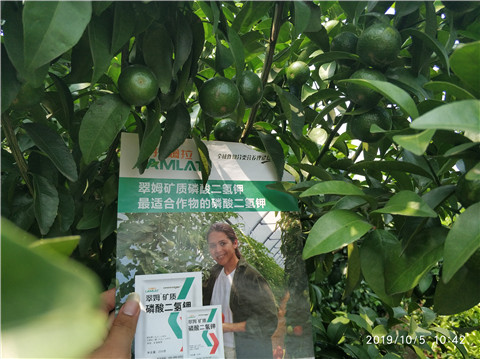 磷酸二氫鉀，拉姆拉