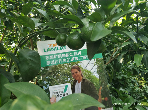 磷酸二氫鉀，拉姆拉