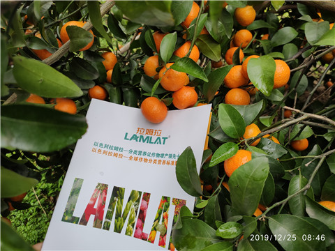 大量元素水溶肥，拉姆拉