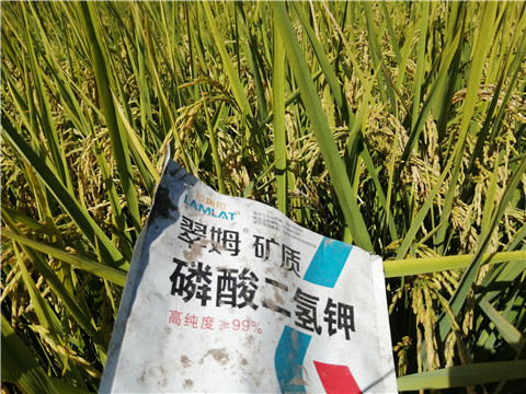 磷酸二氫鉀，翠姆，拉姆拉