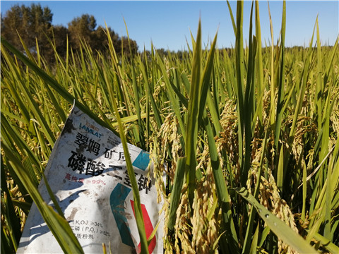 磷酸二氫鉀，翠姆，拉姆拉