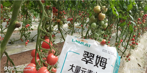 水溶肥，翠姆，拉姆拉