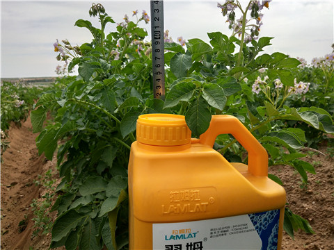 水溶肥，翠姆，拉姆拉
