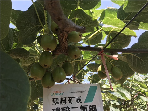 磷酸二氫鉀，拉姆拉