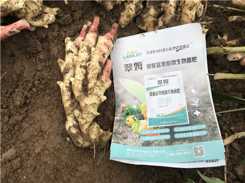 微生物菌劑，翠姆，拉姆拉