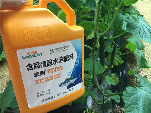 生根劑，魚蛋白水溶肥，拉姆拉