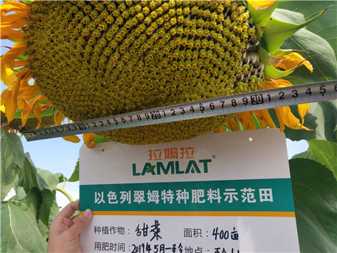 水溶肥，微生物菌劑，拉姆拉