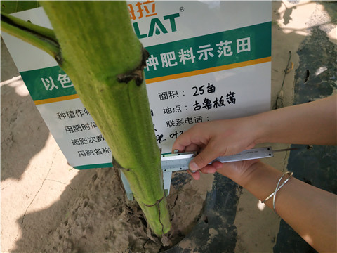 水溶肥，微生物菌劑，拉姆拉