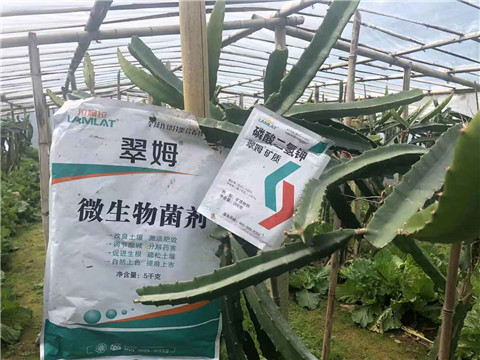 磷酸二氫鉀，翠姆，拉姆拉