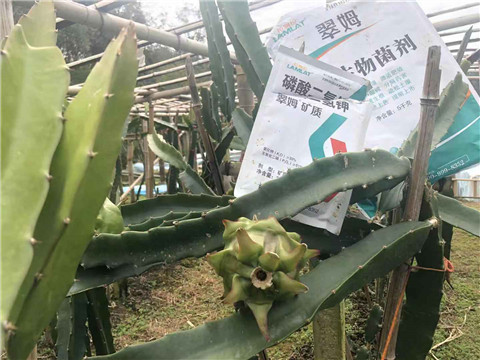 磷酸二氫鉀，翠姆，拉姆拉