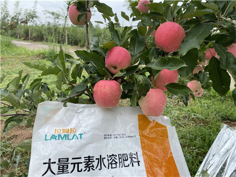 水溶肥，翠姆，拉姆拉