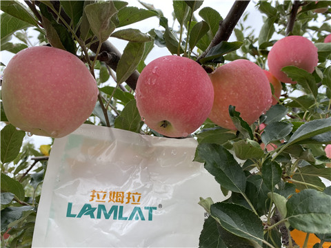 水溶肥，翠姆，拉姆拉