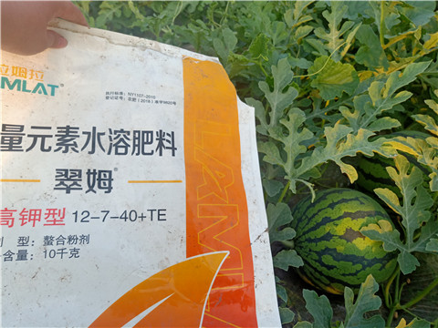 水溶肥，拉姆拉，翠姆