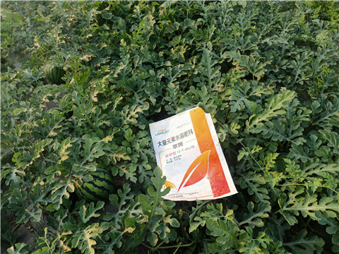 水溶肥，拉姆拉，翠姆