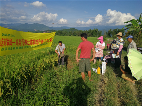 葉面肥，水稻灌漿肥，拉姆拉