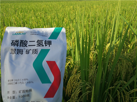 葉面肥，水稻灌漿肥，拉姆拉