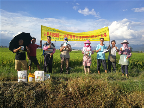 葉面肥，水稻灌漿肥，拉姆拉