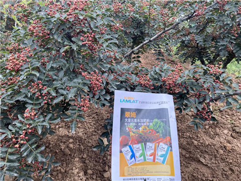 花椒種植，大量元素水溶肥，翠姆