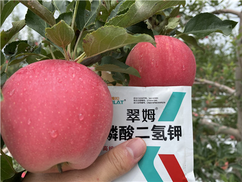 高鉀水溶肥，磷酸二氫鉀，拉姆拉，翠姆