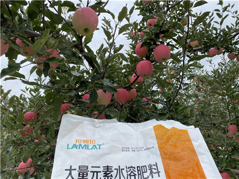 進(jìn)口水溶肥品牌，拉姆拉，翠姆