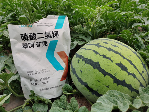 進(jìn)口水溶肥，翠姆，拉姆拉