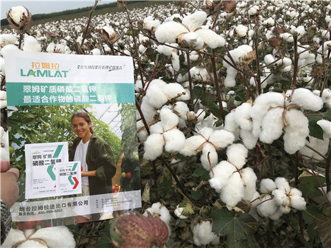 進(jìn)口水溶肥，翠姆，拉姆拉