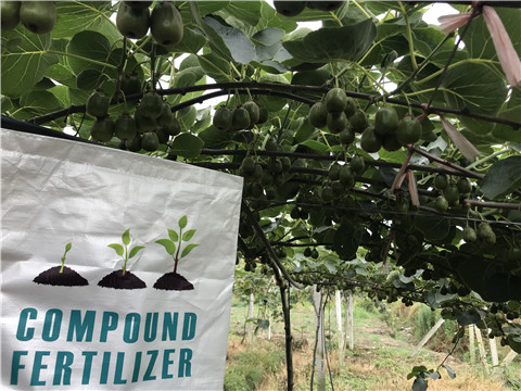 水溶肥，拉姆拉