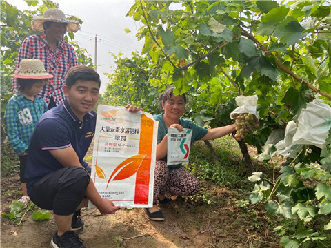 進口水溶肥，拉姆拉