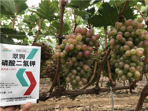 進口水溶肥，拉姆拉