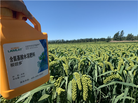 磷酸二氫鉀，拉姆拉，翠姆