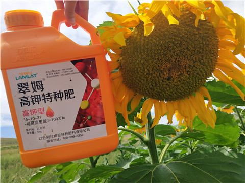 進口水溶肥，拉姆拉