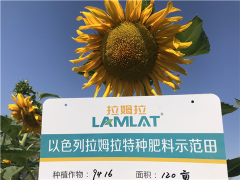 進口水溶肥，拉姆拉