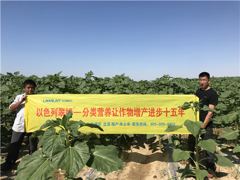 進口水溶肥，拉姆拉