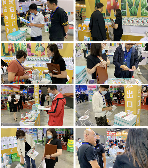 植保會，拉姆拉，翠姆