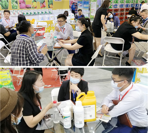 植保會，拉姆拉，翠姆