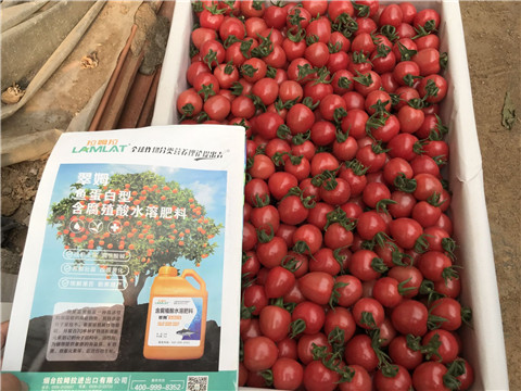 微生物菌劑，磷酸二氫鉀，翠姆，拉姆拉