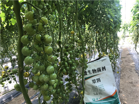 微生物菌劑，磷酸二氫鉀，翠姆，拉姆拉