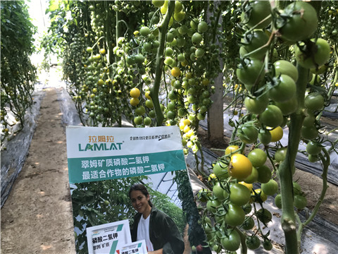 微生物菌劑，磷酸二氫鉀，翠姆，拉姆拉