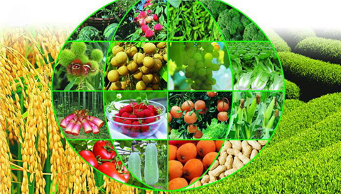 水溶肥，拉姆拉，翠姆