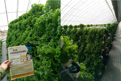 水溶肥，拉姆拉，翠姆